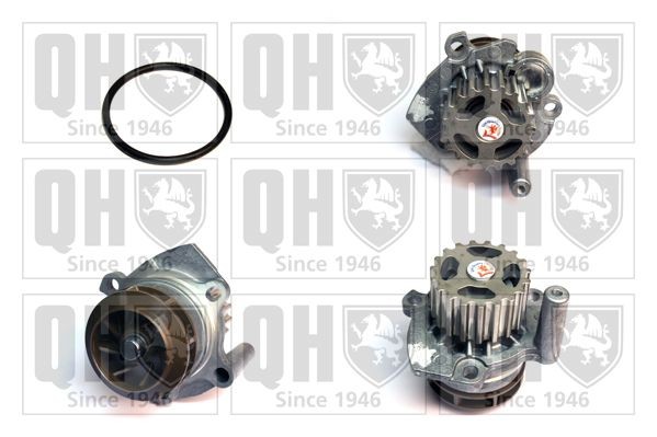 QUINTON HAZELL QCP3741 Water pump and timing belt kit 03L 121 011 CX