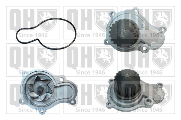 QUINTON HAZELL QCP3795 Water pump 4694 307AB
