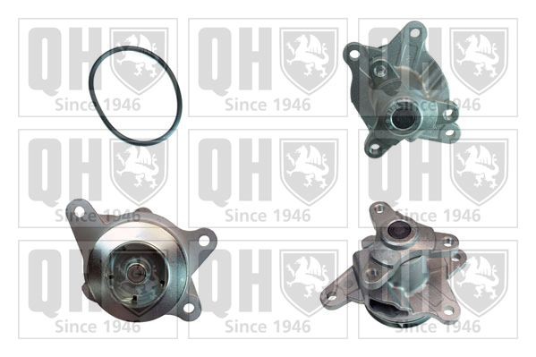 QUINTON HAZELL QCP3829 Water pump NISSAN NV300 2016 in original quality