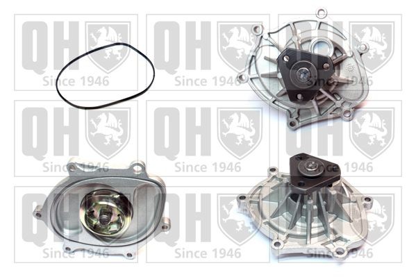 QUINTON HAZELL QCP3841 Boxster (981) 2020 Water pumps