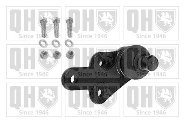 QUINTON HAZELL QSJ3647S Repair kit, wheel suspension 8V413A423AC