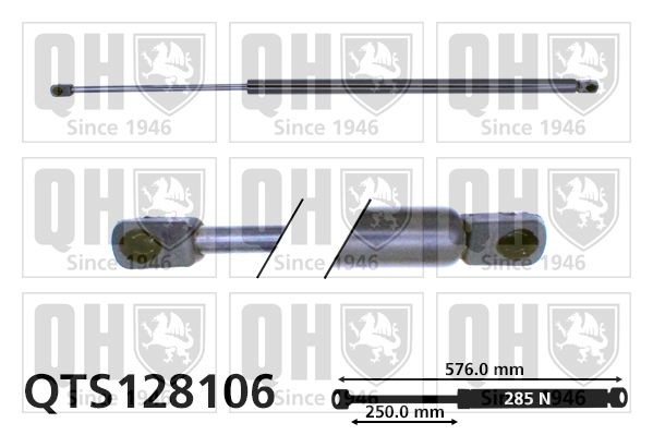 QUINTON HAZELL Tailgate strut QTS128106 Ford FIESTA 2002