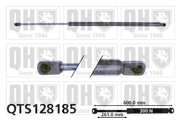 QUINTON HAZELL QTS128185 Tailgate strut 300N, 600 mm