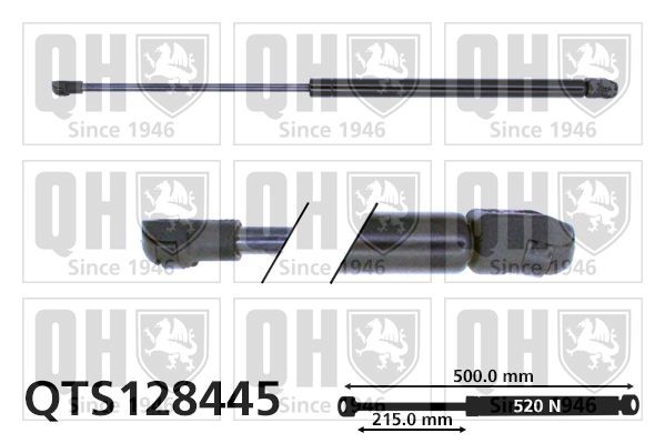 2x Heckklappendämpfer verstärkt 635N für VW Golf 4 Variant Kombi  Fahrradträger