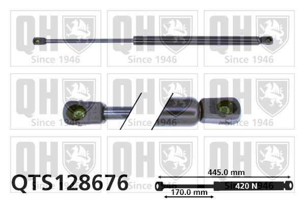 QUINTON HAZELL QTS128676 Boot struts CITROËN C3 I Hatchback (FC, FN) 1.4 HDi 68 hp Diesel 2010