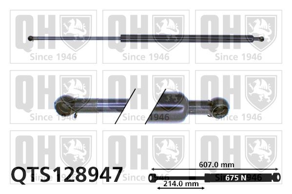 Jeep WILLYS Tailgate strut QUINTON HAZELL QTS128947 cheap