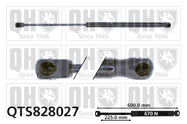 Fiat QUBO Tailgate strut QUINTON HAZELL QTS828027 cheap