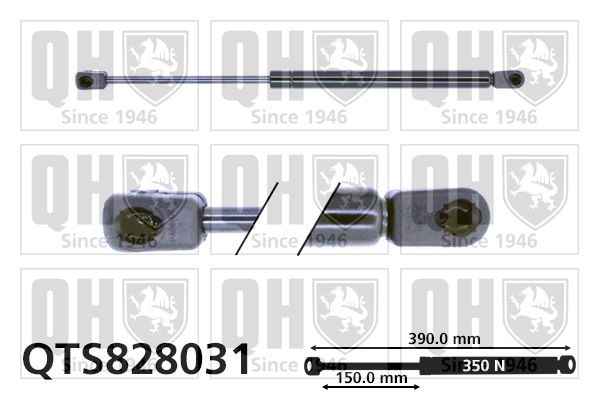 Chevrolet KALOS Tailgate strut QUINTON HAZELL QTS828031 cheap