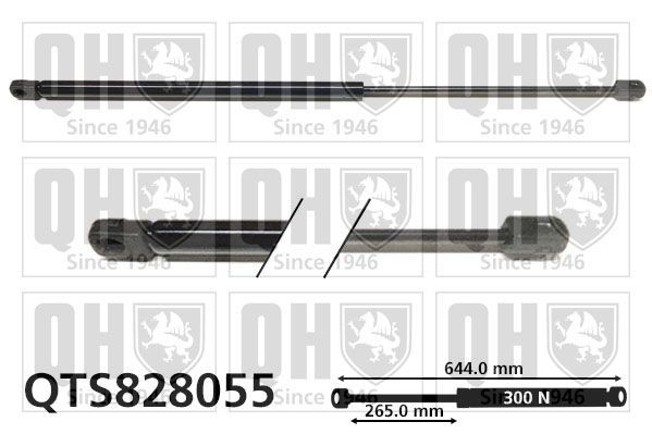 QUINTON HAZELL QTS828055 Boot LANCIA Delta III (844) 1.6 D Multijet 120 hp Diesel 2013 price