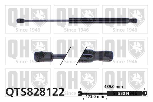 QUINTON HAZELL 550N, 439 mm Stroke: 173mm Gas spring, boot- / cargo area QTS828122 buy