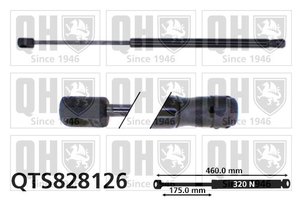 Volkswagen SCIROCCO Tailgate strut QUINTON HAZELL QTS828126 cheap