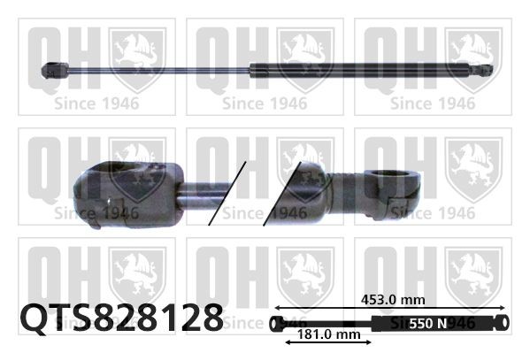 QUINTON HAZELL Tailgate strut QTS828128 Volkswagen PASSAT 2006