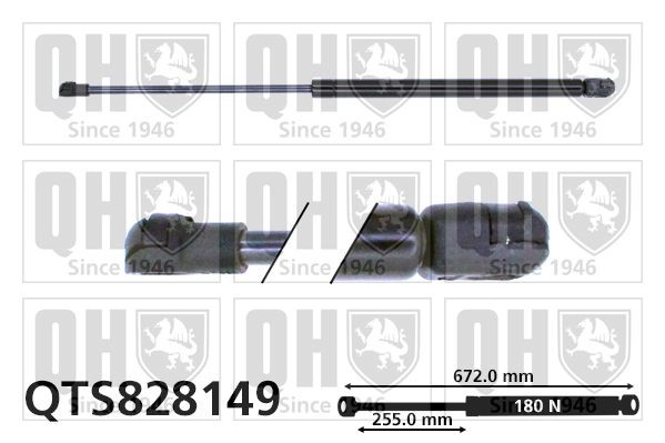BMW Z4 Bonnet strut QUINTON HAZELL QTS828149 cheap
