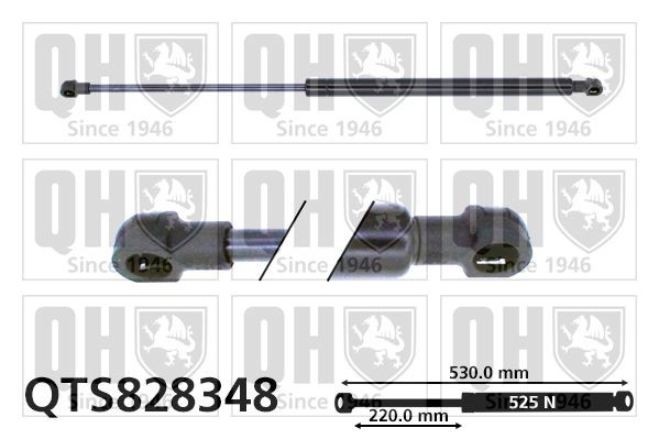 Dacia LODGY Tailgate strut QUINTON HAZELL QTS828348 cheap