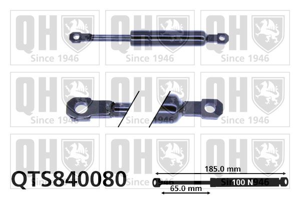 Audi Gas Spring, foldaway table QUINTON HAZELL QTS840080 at a good price