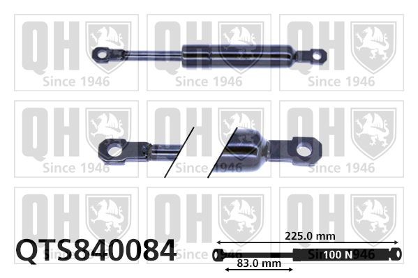 Audi Gas Spring, foldaway table QUINTON HAZELL QTS840084 at a good price