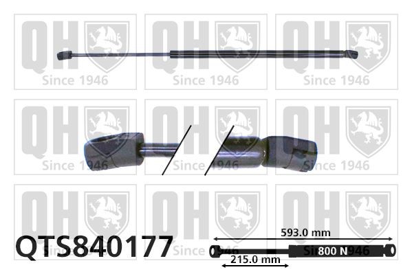 QUINTON HAZELL QTS840177 Boot struts VW Sharan 1