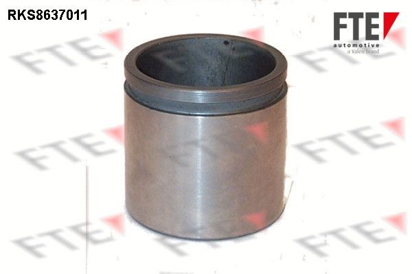 FTE 54mm Brake piston RKS8637011 buy