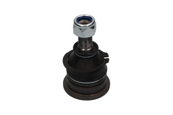 SBJ-6512 Suspension ball joint SBJ-6512 KAVO PARTS 52mm, 100mm, for control arm
