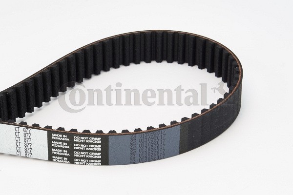 Original CT877 CONTITECH Toothed belt FIAT