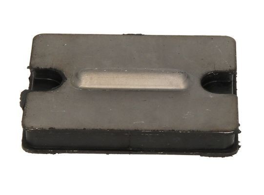 S-TR Verschleißplatte, Blattfeder STR-120889