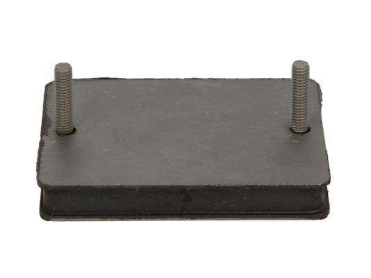S-TR STR-120890 Verschleißplatte, Blattfeder für DAF XF 95 LKW in Original Qualität