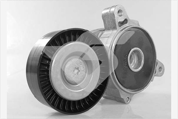 HUTCHINSON T0560 Tensioner pulley 1345A013