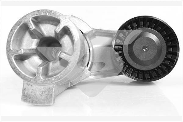 Great value for money - HUTCHINSON Tensioner pulley T0570