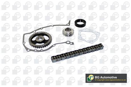 Volkswagen AMAROK Timing chain 12199511 BGA TC0170FK online buy