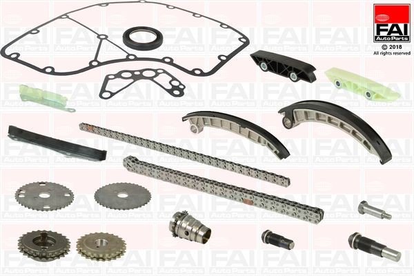 FAI AutoParts TCK194LC Timing chain kit FIAT experience and price