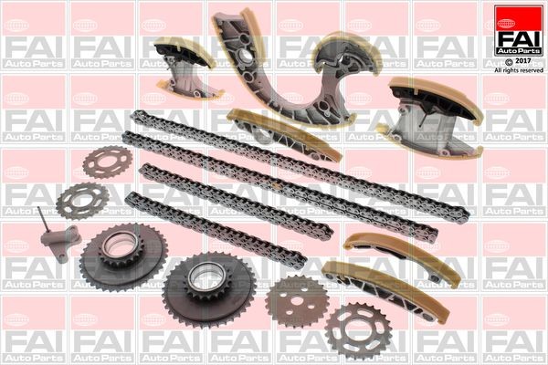 FAI AutoParts TCK219NG Timing chain kit with gears, without gaskets/seals, Simplex, Bolt Chain