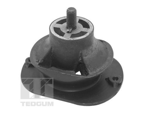 TEDGUM TED40521 Engine mounting IVECO Daily III Box Body / Estate 35 S 11 V,35 C 11 V 106 hp Diesel 2000