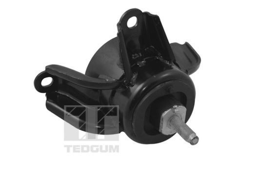 TEDGUM TED70060 Track rod end 093814617