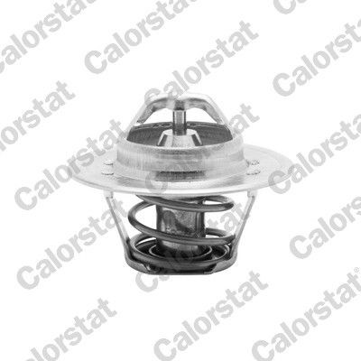 CALORSTAT by Vernet Opening Temperature: 74°C, 53,9mm, with seal D1: 53,9mm Thermostat, coolant TH5504.74J buy