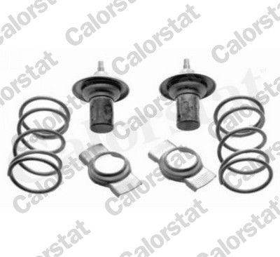 CALORSTAT by Vernet Opening Temperature: 79°C, 29,0mm D1: 29,0mm Thermostat, coolant TH7116.79 buy