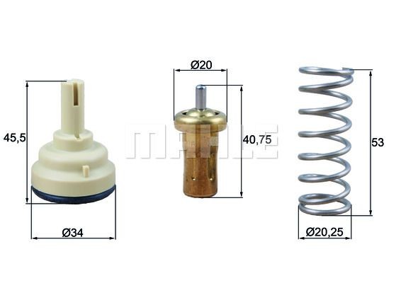 1.452.02 BEHR THERMOT-TRONIK Opening Temperature: 81°C, with seal Thermostat, coolant TI 219 81 buy