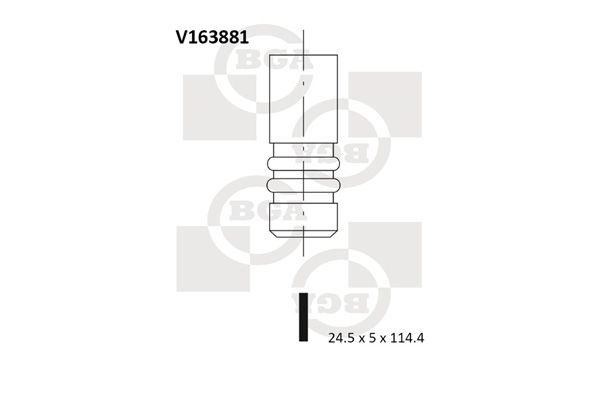BGA V163881 Exhaust valve 641465