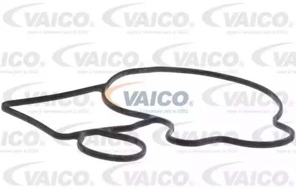 V2050058 Coolant pump VAICO V20-50058 review and test
