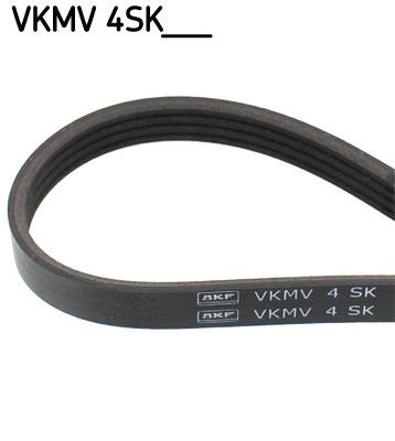 VKMV 4SK1117 SKF Alternator belt IVECO 1117mm, 4