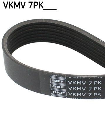 SKF VKMV 7PK1647 Serpentine belt 1647mm, 7