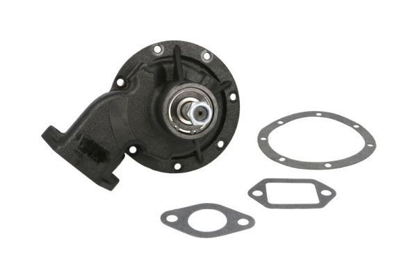 THERMOTEC Water pump for engine WP-RV119