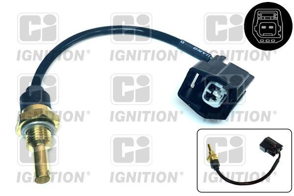 QUINTON HAZELL with cable Sensor, coolant temperature XEMS228 buy