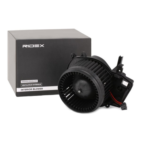 RIDEX Heater motor 2669I0096