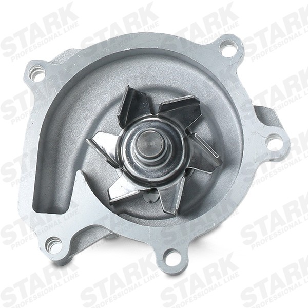 STARK Water pump for engine SKWP-0520258
