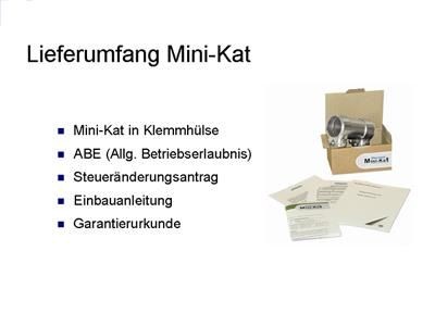 VEGAZ UPGRADE EURO 2 / D3 Retrofit Kit, catalytic converter MKO-008 buy