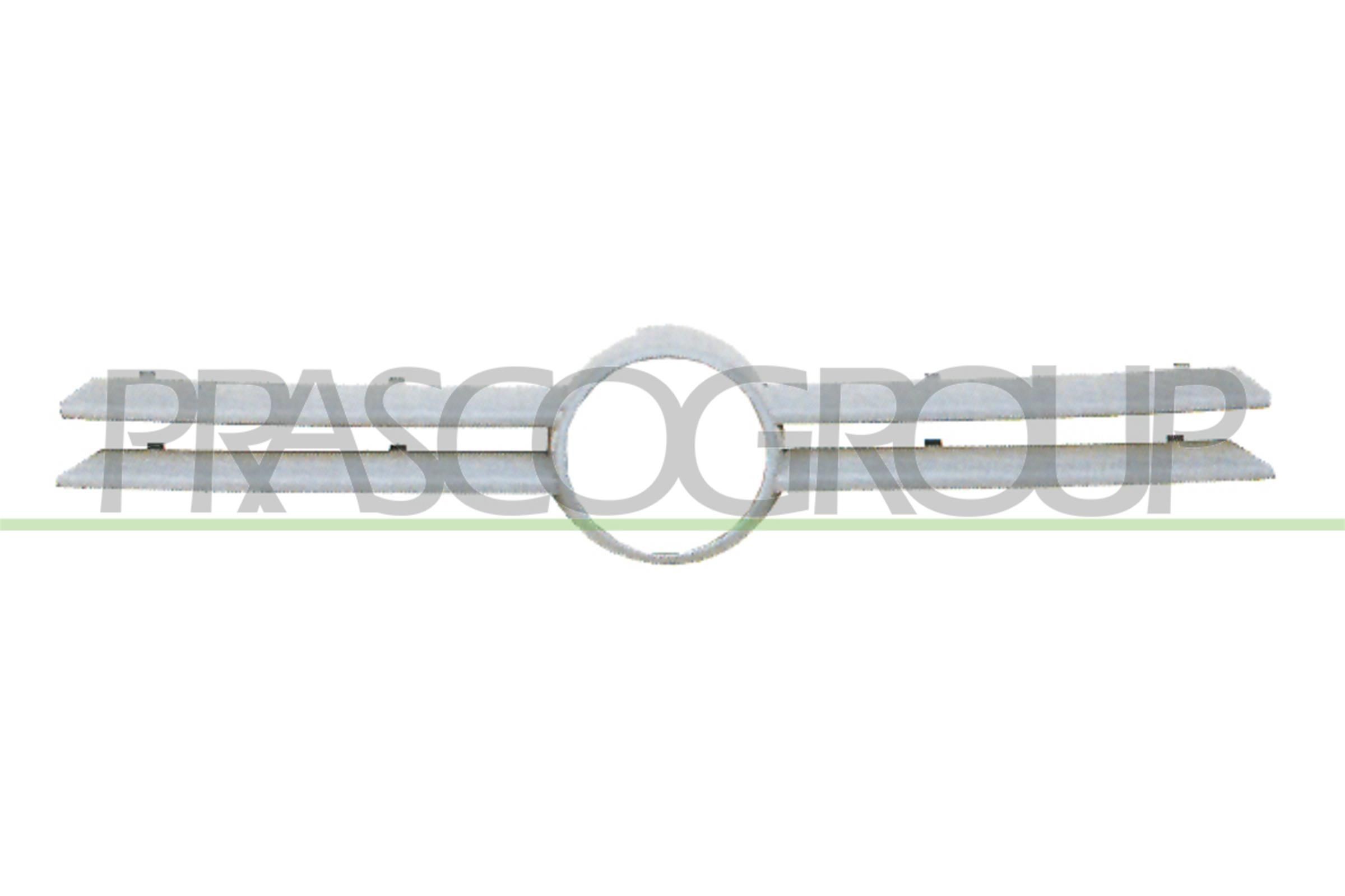 PRASCO VG0342011 outer, primed Radiator Grille VG0342011 cheap