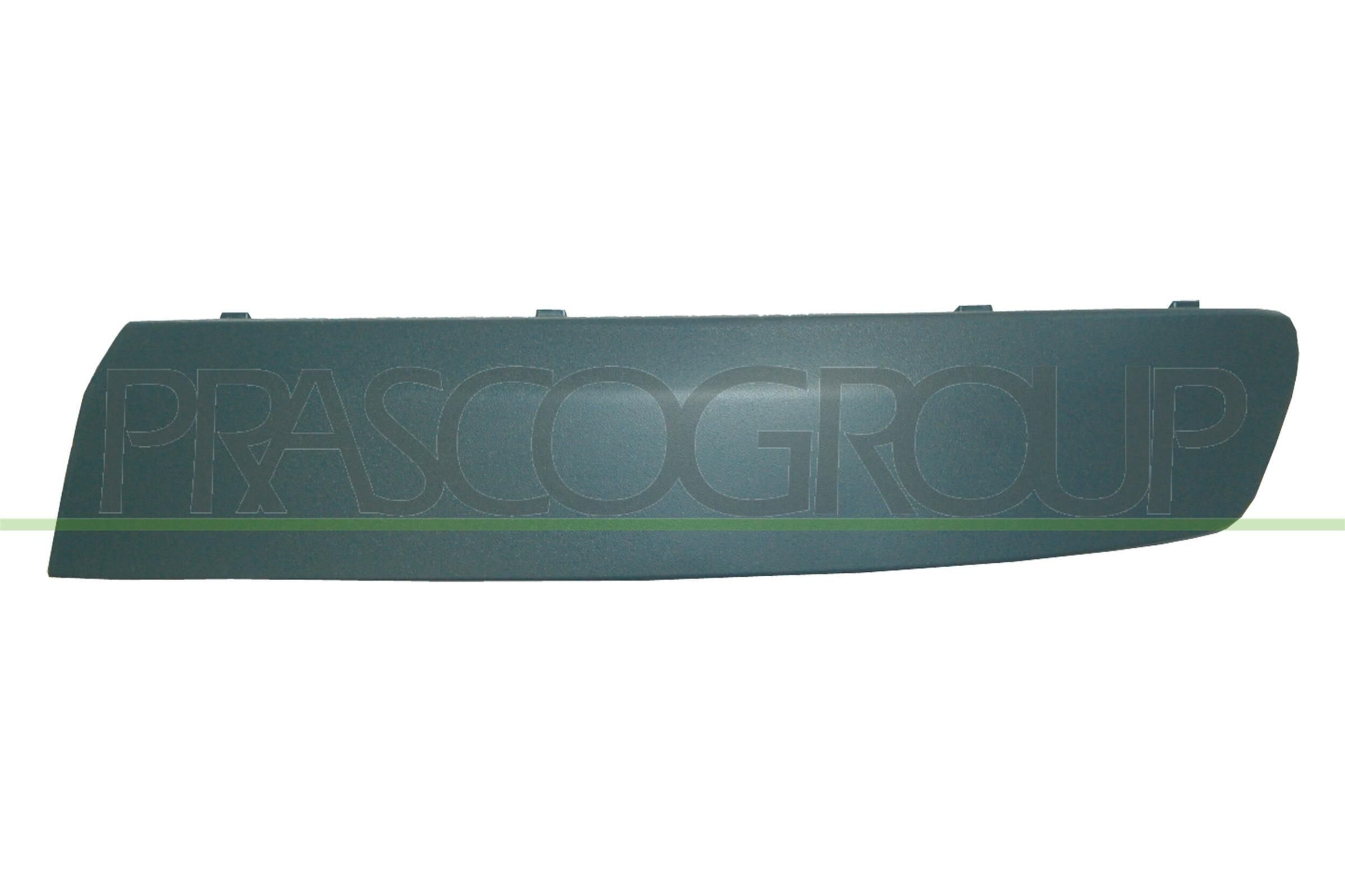 VG9171244 PRASCO Bumper moulding buy cheap