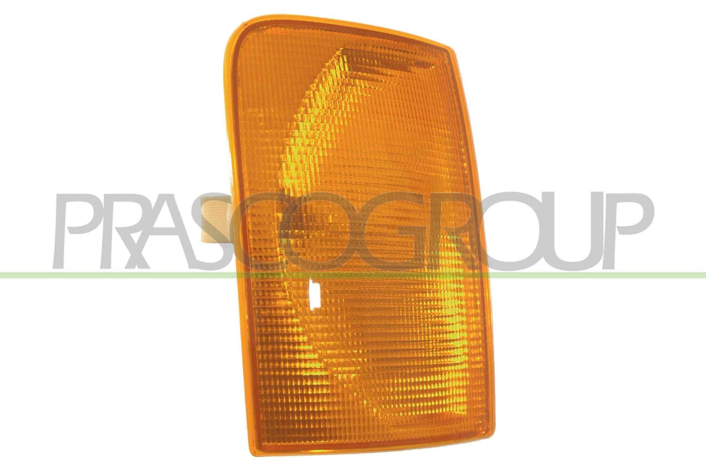 PRASCO VG9504003 Side indicator 2D0953050