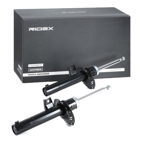 RIDEX Suspension shocks 854S2108