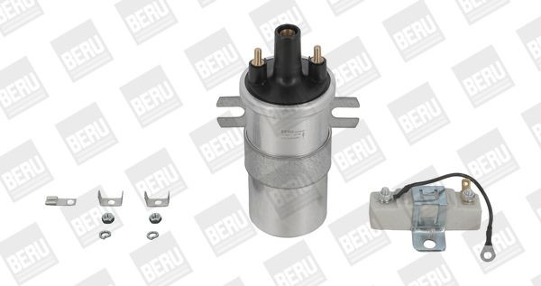 ZS567 BERU Coil pack DAIHATSU 2-pin connector, 12V, DIN+M5, with resistor, Number of connectors: 1, Connector Type DIN